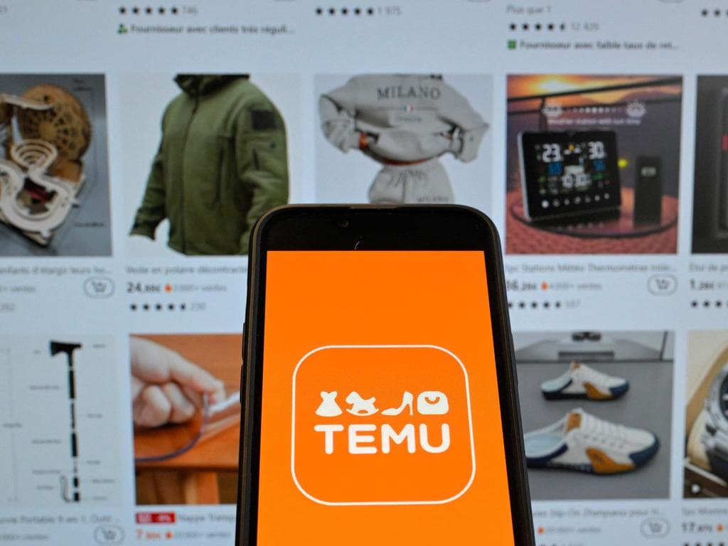 Making the most of the Temu app