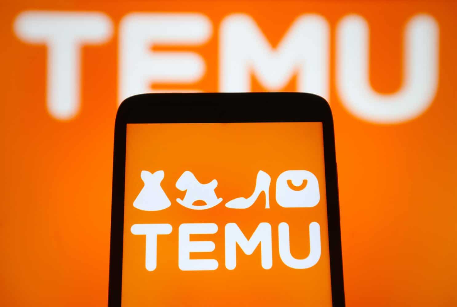 Common Concerns About Temu