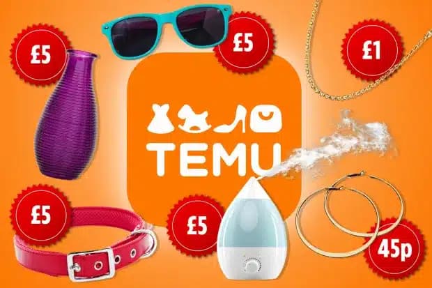 How to Maximize Savings on Temu